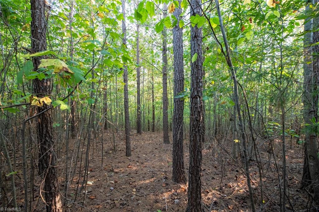 0 Briles Meadow Road Trinity, NC 27370 - Photo 13 of 27 Gallery Image 13