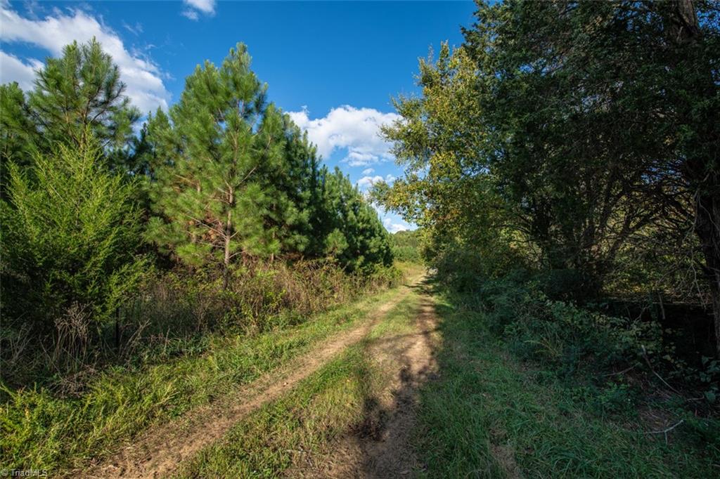 0 Briles Meadow Road Trinity, NC 27370 - Photo 14 of 27 Gallery Image 14