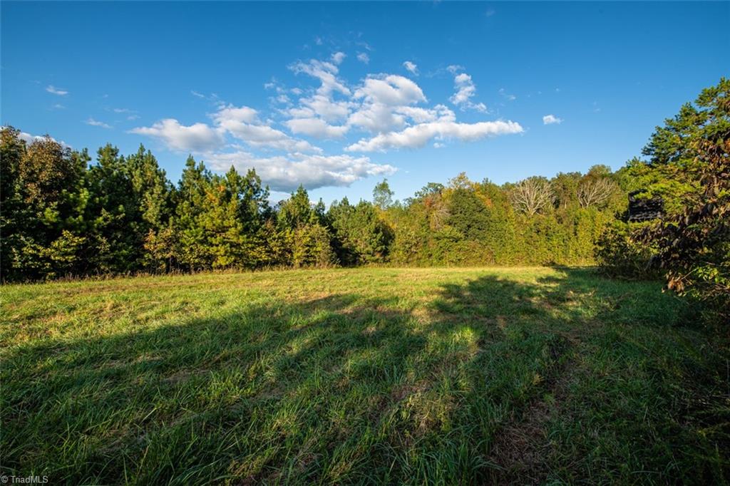 0 Briles Meadow Road Trinity, NC 27370 - Photo 16 of 27 Gallery Image 16