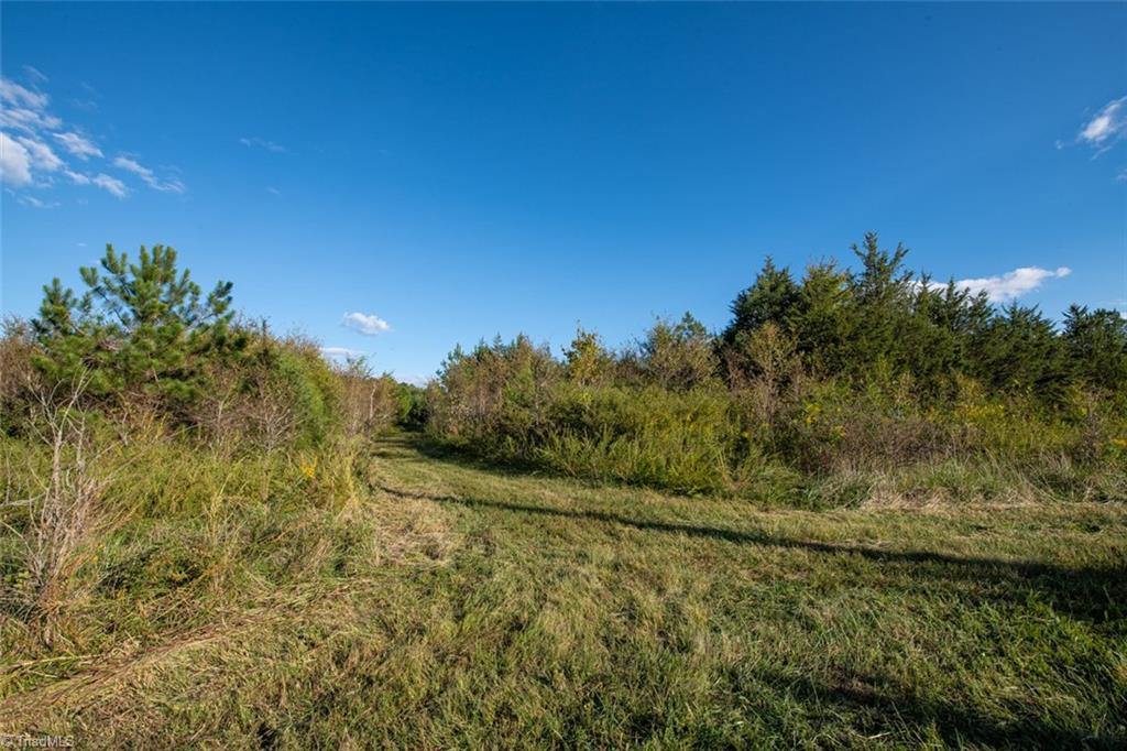 0 Briles Meadow Road Trinity, NC 27370 - Photo 18 of 27 Gallery Image 18