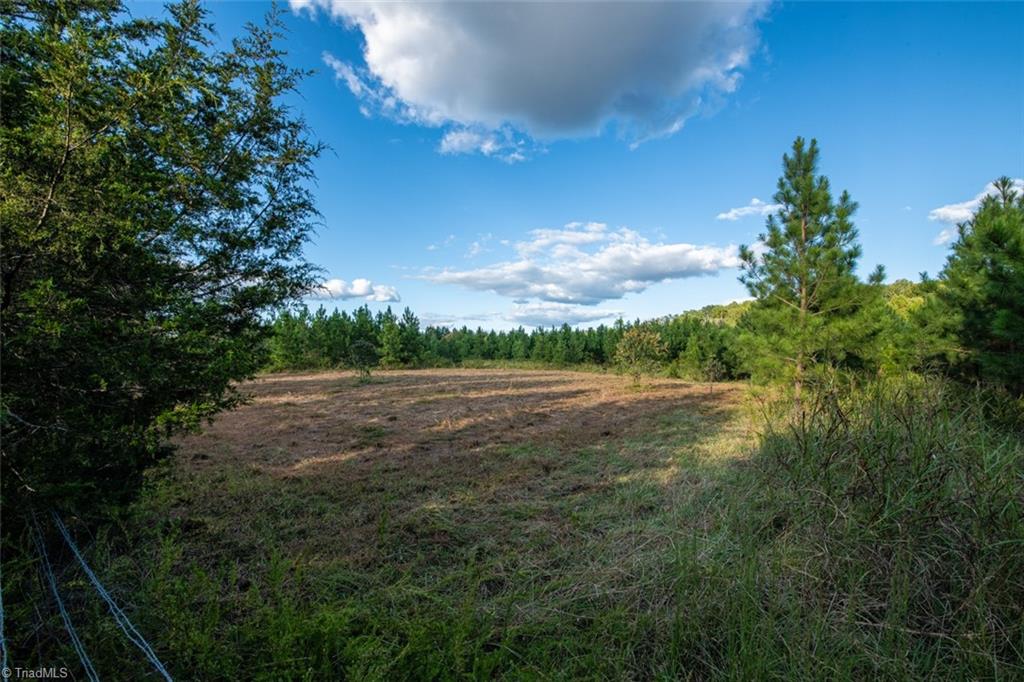 0 Briles Meadow Road Trinity, NC 27370 - Photo 2 of 27 Gallery Image 2