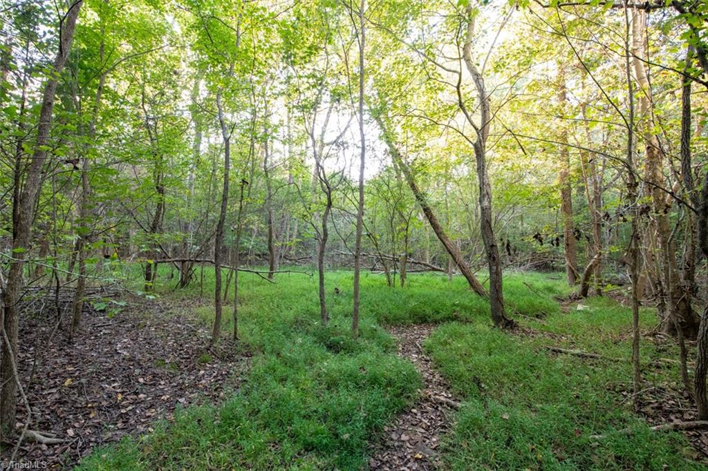 0 Briles Meadow Road Trinity, NC 27370 - Photo 23 of 27 Gallery Image 23