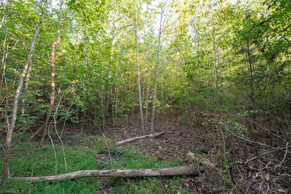 0 Briles Meadow Road Trinity, NC 27370 - Photo 24 of 27 Gallery Image 24