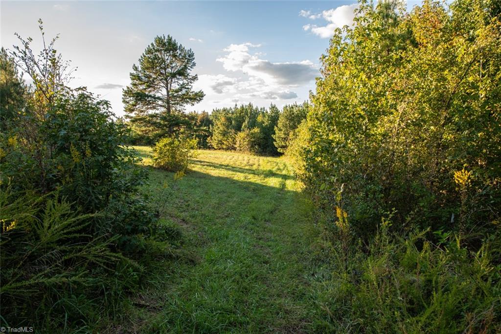 0 Briles Meadow Road Trinity, NC 27370 - Photo 25 of 27 Gallery Image 25