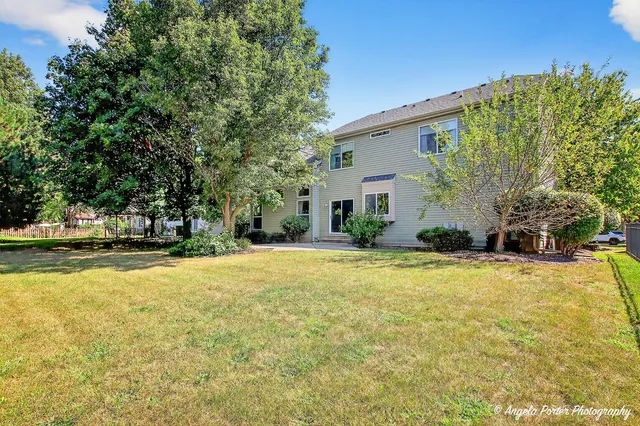 a view of yard with tree and green space
