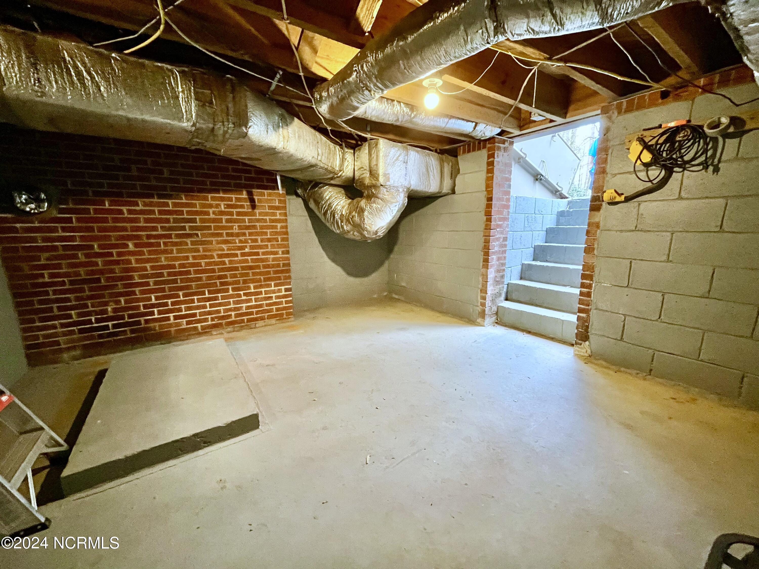 310 Golf Road Plymouth, NC 27962 - Photo 60 of 69 Small Basement for Storage