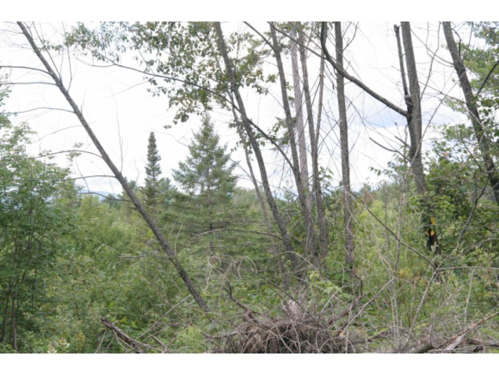 Off Dudley Brook Road Concord, VT 05824 - Photo 1 of 1