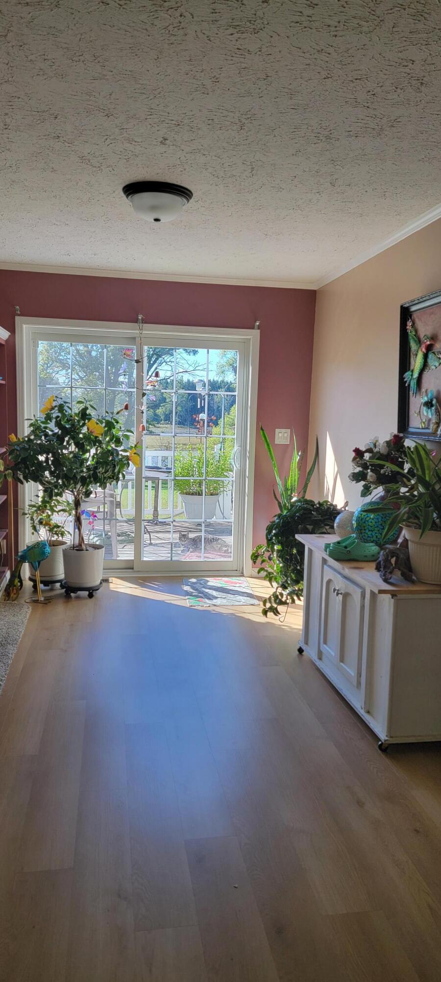 3114 Fleck Road Northeast Edmore, MI 48829 - Photo 17 of 24 20220929_111211