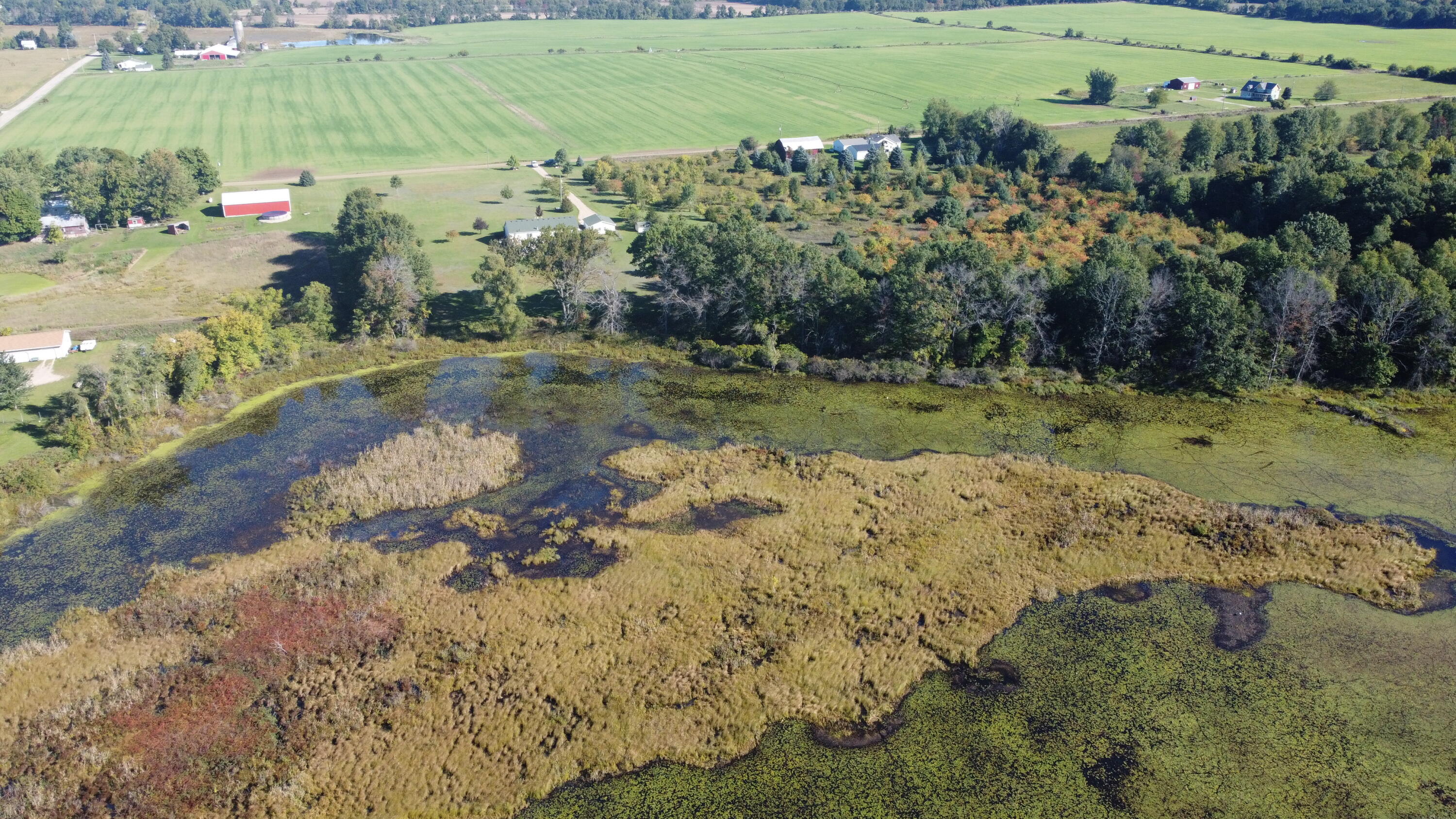 3114 Fleck Road Northeast Edmore, MI 48829 - Photo 19 of 24 DJI_0653