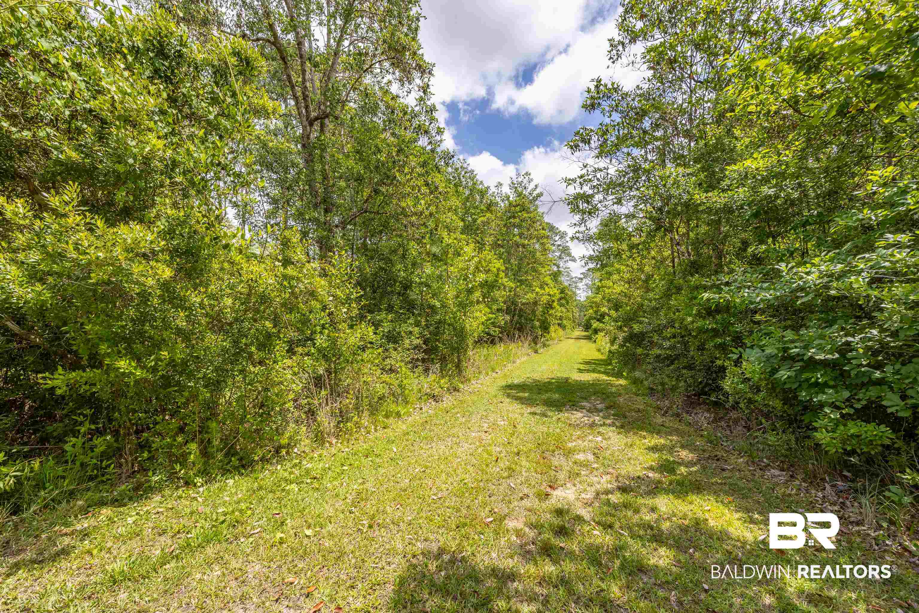 9771 Clarke Ridge Road Foley, AL 36535 - Photo 19 of 72 View of nature with a wooded view.