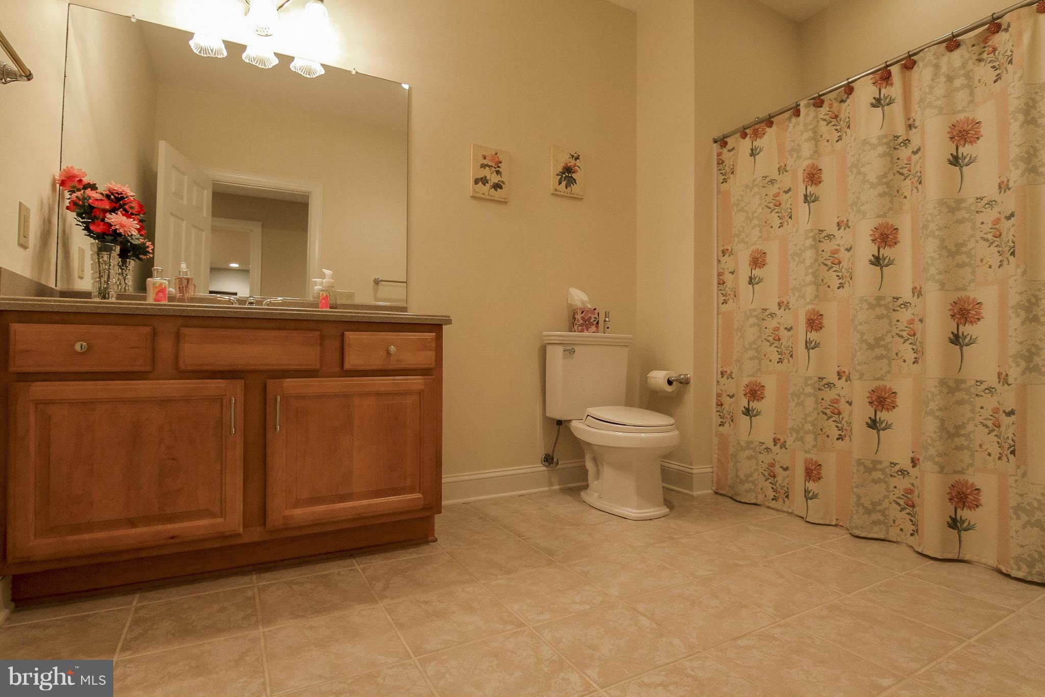 17 Beaver Ridge Road Stafford, VA 22556 - Photo 25 of 30 Nice Full Basement Bathroom