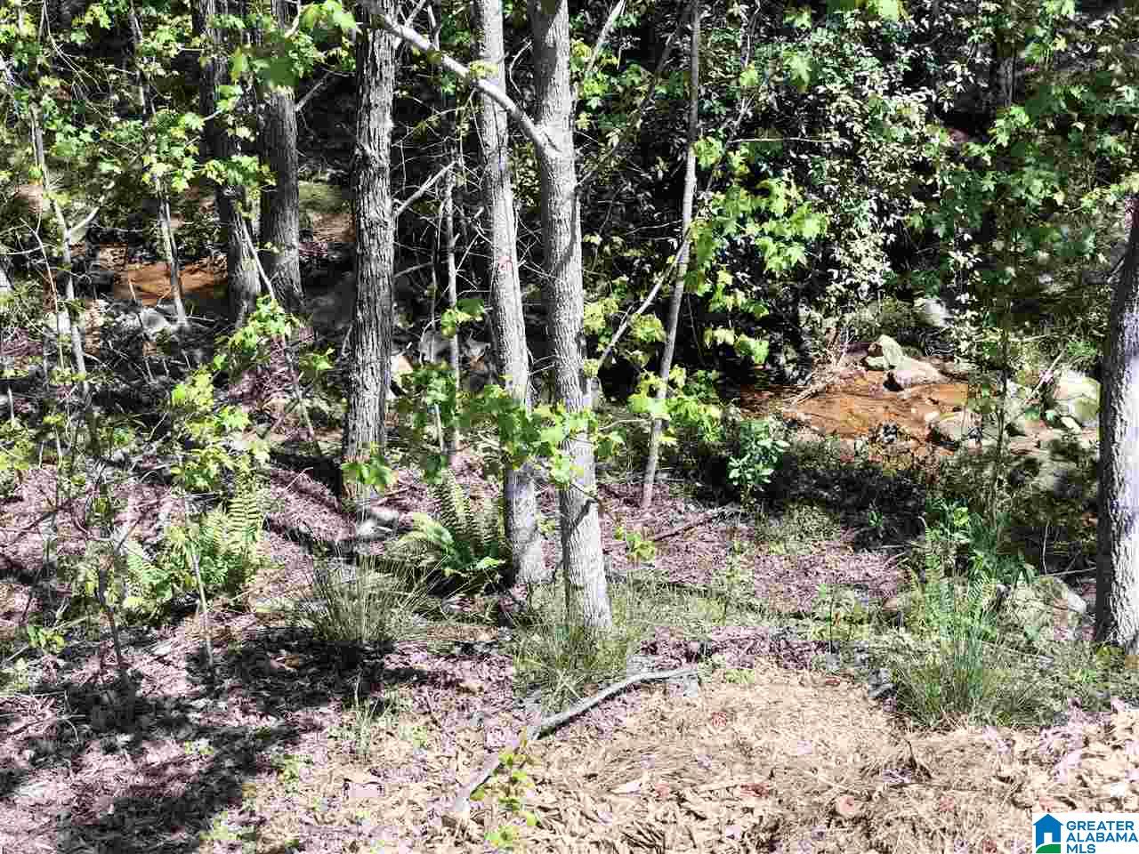 201 Cove Lane Pelham, AL 35124 - Photo 38 of 41