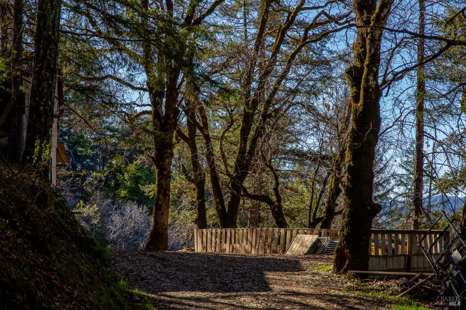 40643 Covelo Road Willits, CA 95490 - Photo 3 of 15