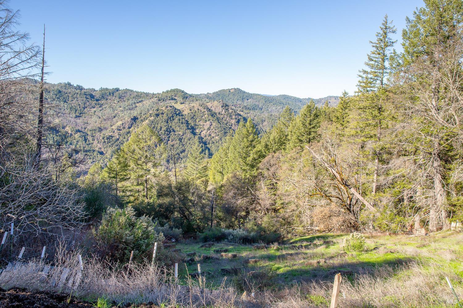 40643 Covelo Road Willits, CA 95490 - Photo 4 of 15