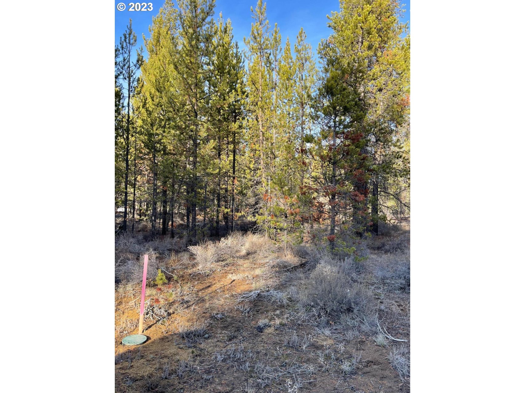 16126 Dyke Road La Pine, OR 97739 - Photo 2 of 7 Gallery Image 2
