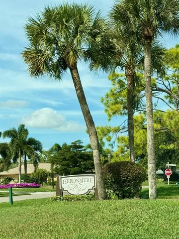 a view of a garden with plants
