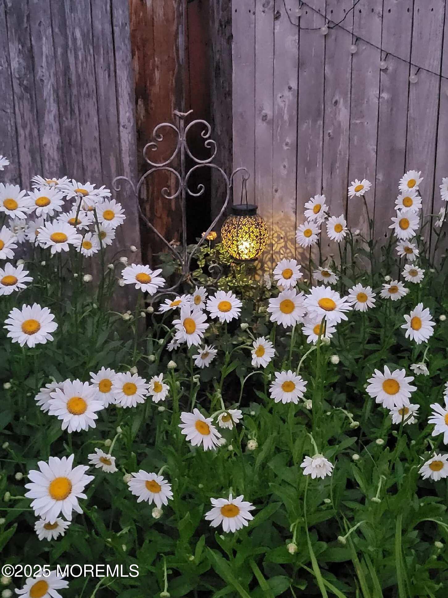 1644 Riverview Terrace Wall, NJ 07719 - Photo 29 of 35 blooms in spring