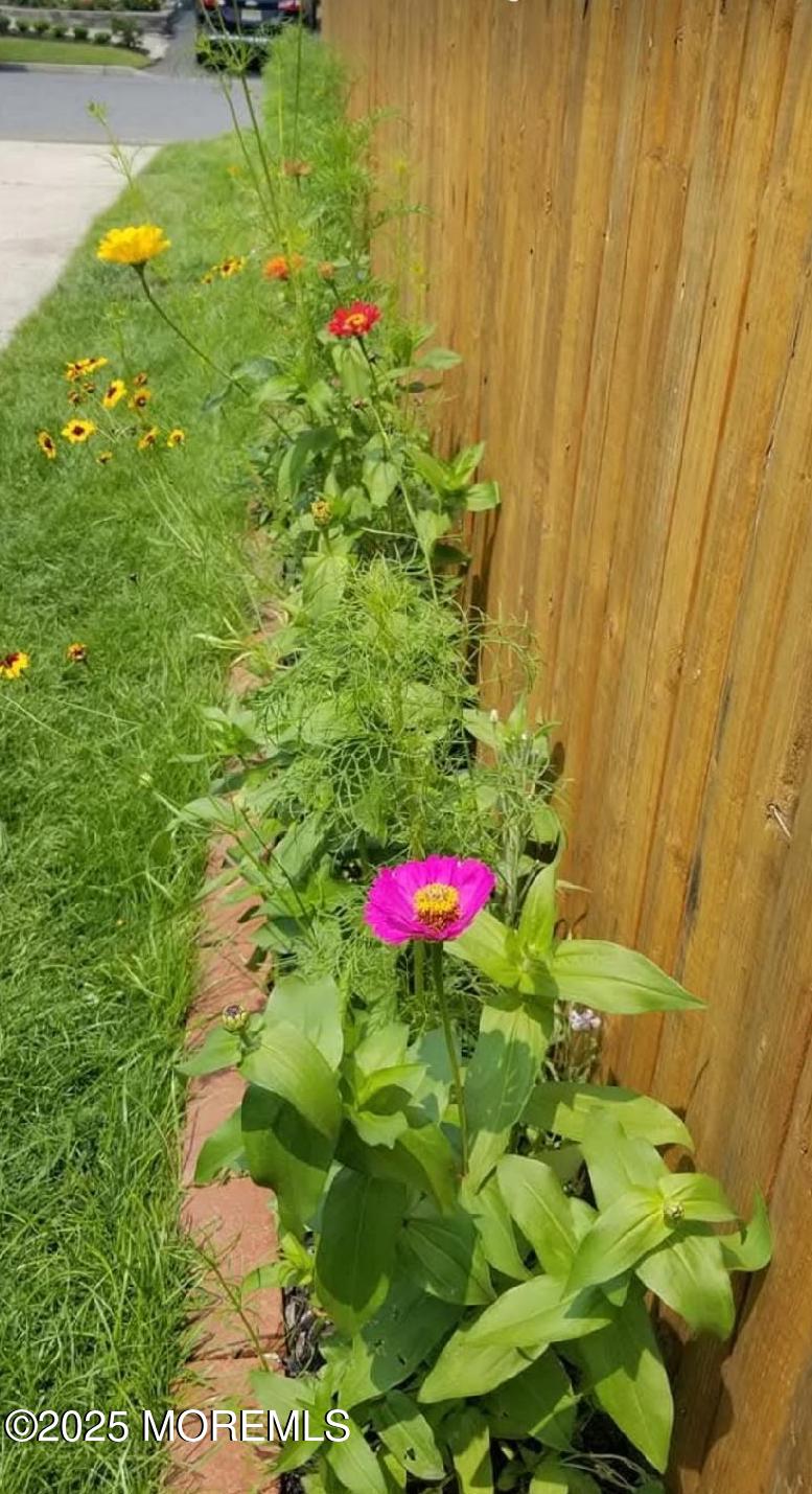 1644 Riverview Terrace Wall, NJ 07719 - Photo 31 of 35 blooms in spring