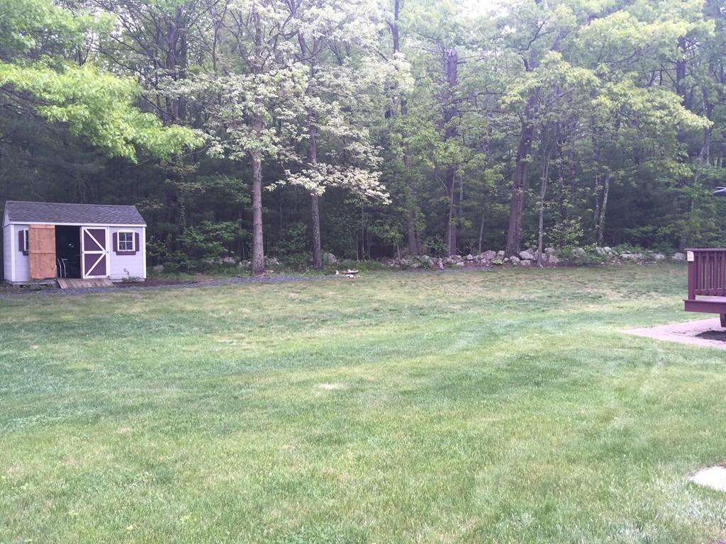 53 Hardwick Road Ashland, MA 01721 - Photo 4 of 18 a fire hydrant in the middle of a field