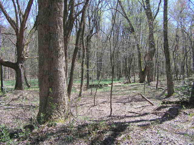 200 Smith Road Graysville, TN 37338 - Photo 1 of 14 41614 004