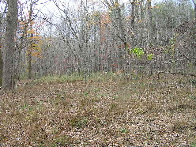200 Smith Road Graysville, TN 37338 - Photo 13 of 14 103114 003