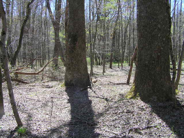 200 Smith Road Graysville, TN 37338 - Photo 3 of 14 41614 006