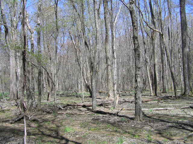 200 Smith Road Graysville, TN 37338 - Photo 4 of 14 41614 008