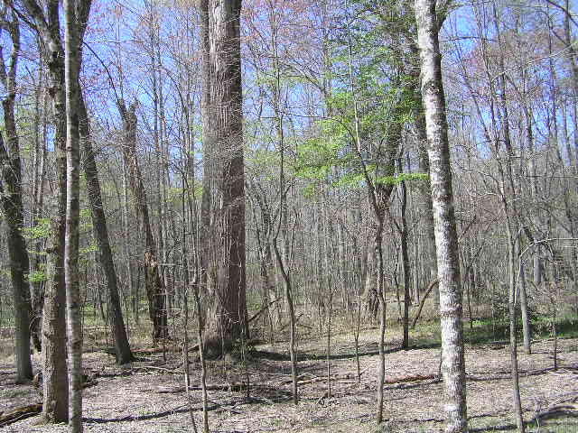 200 Smith Road Graysville, TN 37338 - Photo 5 of 14 41614 009