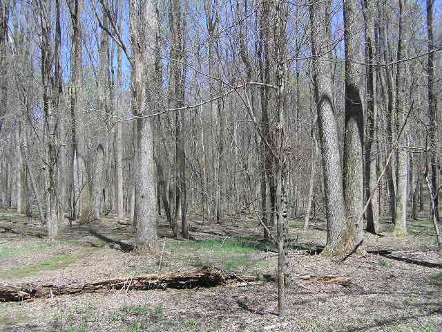 200 Smith Road Graysville, TN 37338 - Photo 6 of 14 41614 010