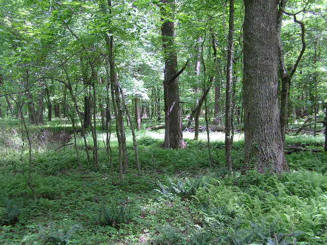 200 Smith Road Graysville, TN 37338 - Photo 8 of 14 52014 001