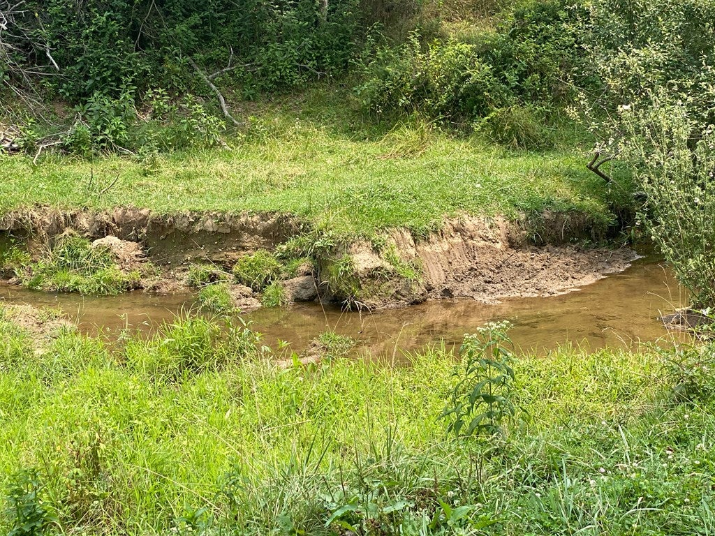 Tbd Beaver Dam Road Independence, VA 24348 - Photo 2 of 13 Gallery Image 2