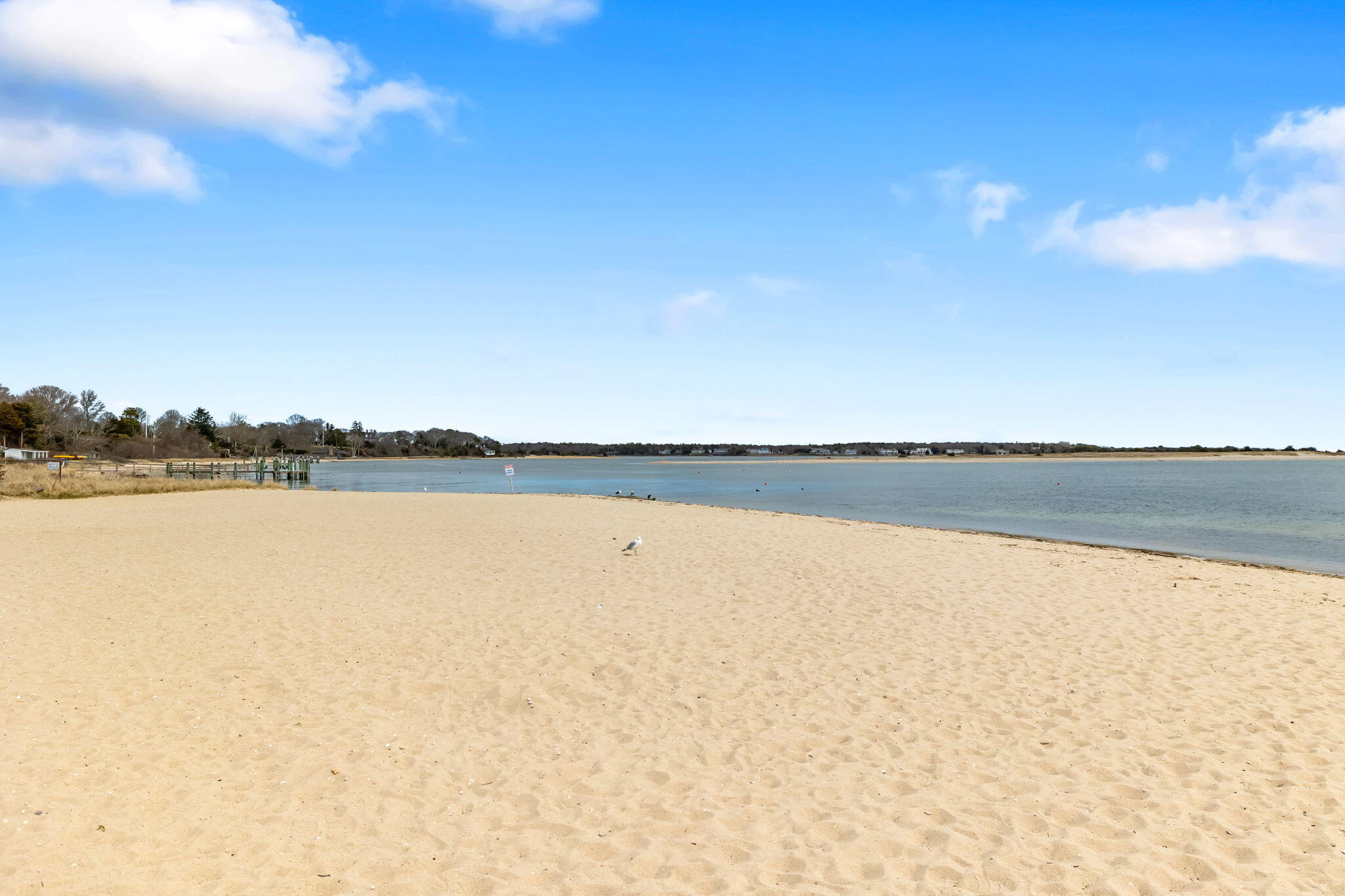 49 Roosevelt Road Cotuit, MA 02635 - Photo 17 of 21 16-web-or-mls-49 Roosevelt Rd Final-6