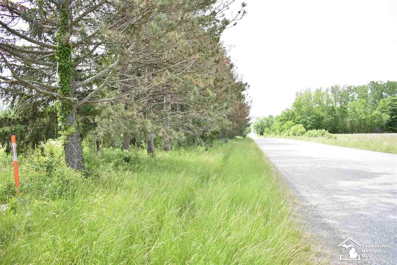 1 Wilcox Road Dundee, MI 48131 - Photo 2 of 9