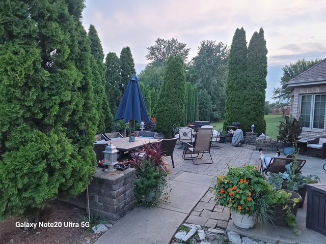 1237 Parliament Street Crete, IL 60417 - Photo 54 of 66 Gallery Image 54