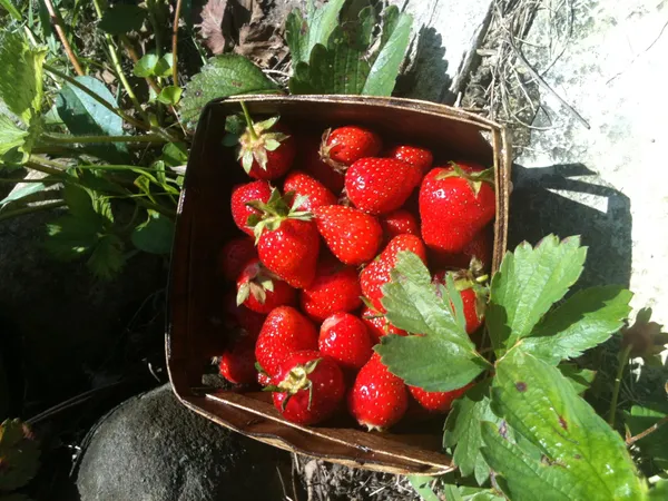 $624,900 | W254-s7310 Glenview Drive, Waukesha, WI 53189