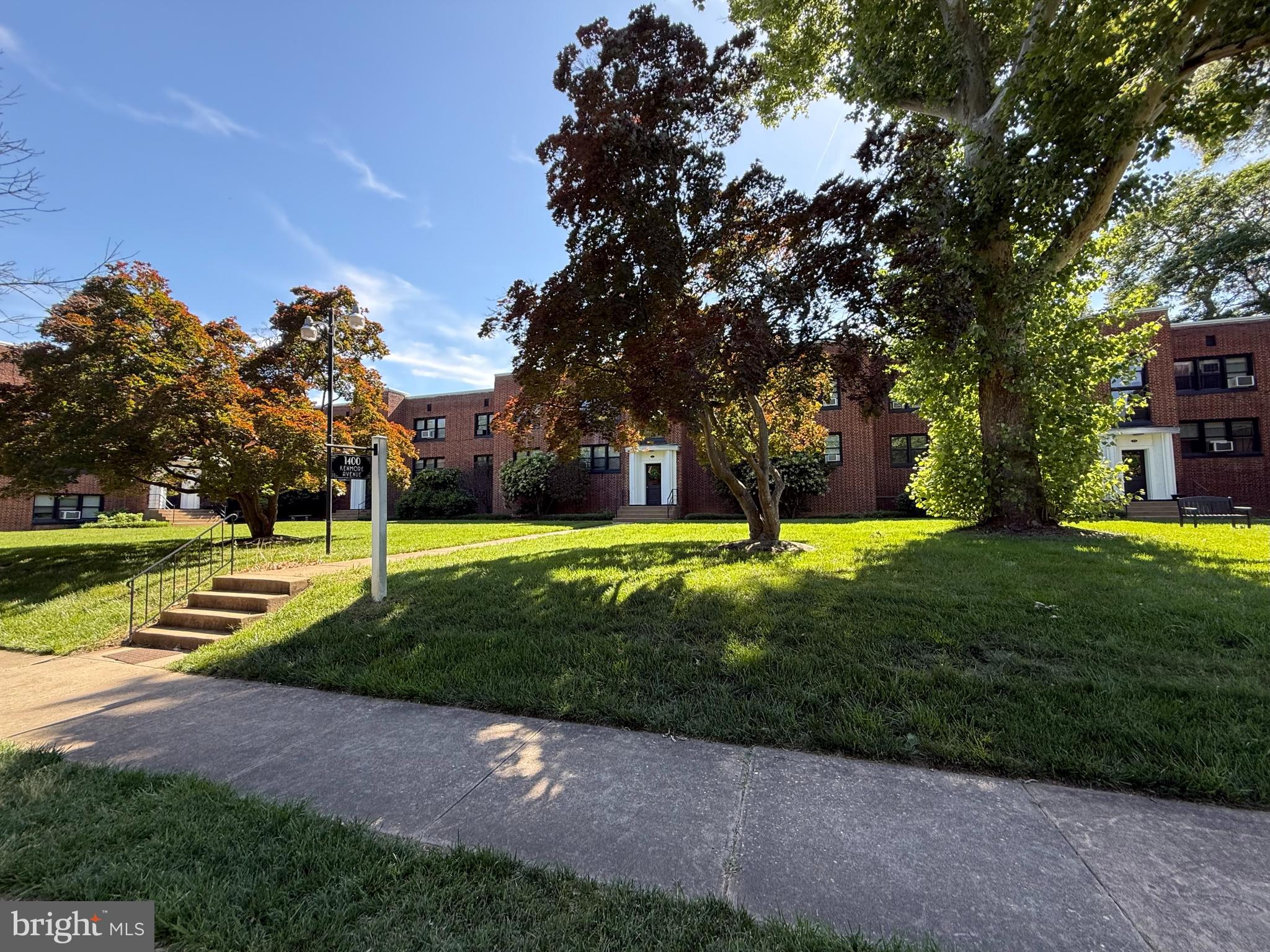 a view of a park with large trees