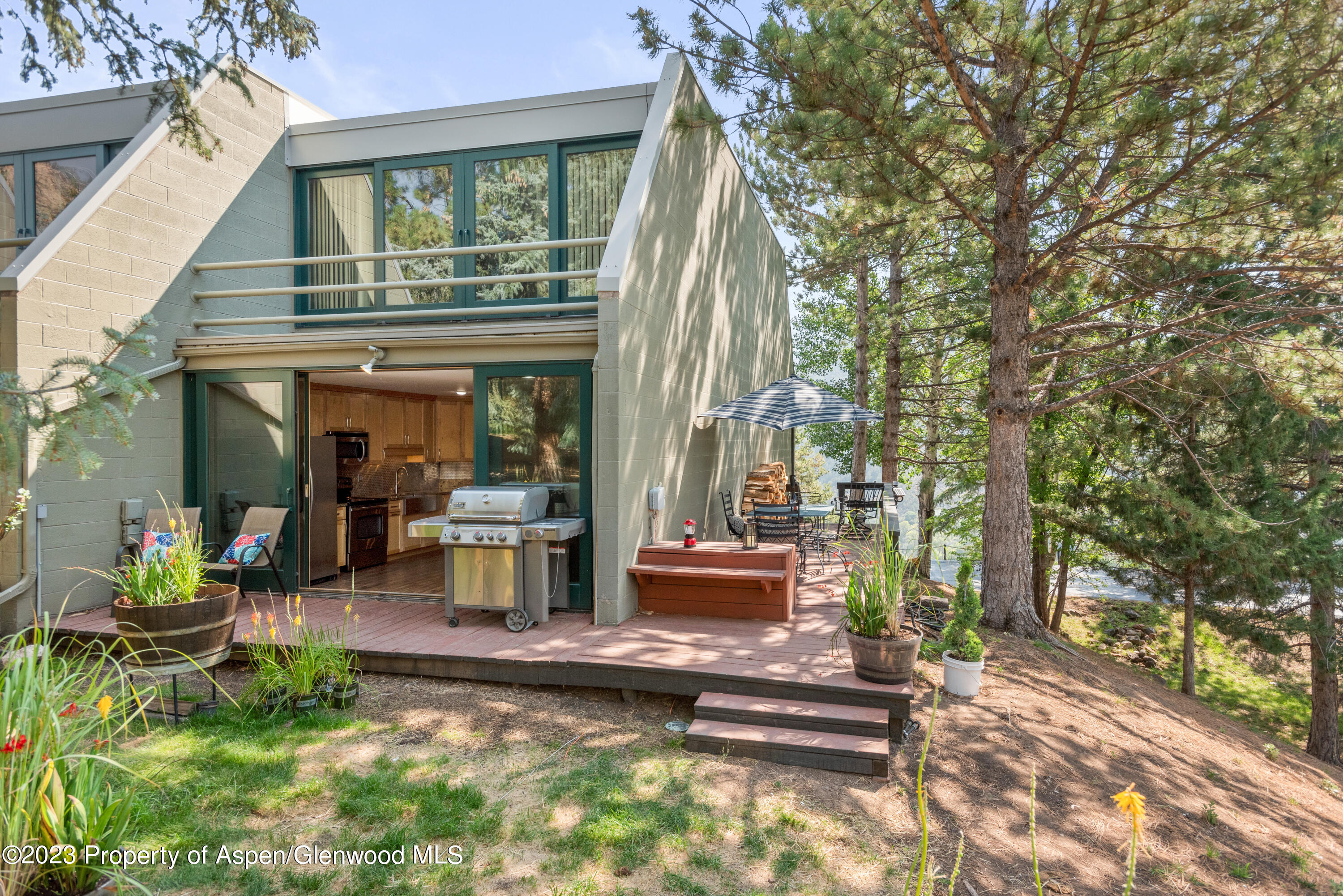 805 Pinon Drive, Unit 9 Basalt, CO 81621 - Photo 18 of 28 805PinionDrive9_HiRes_09072021016