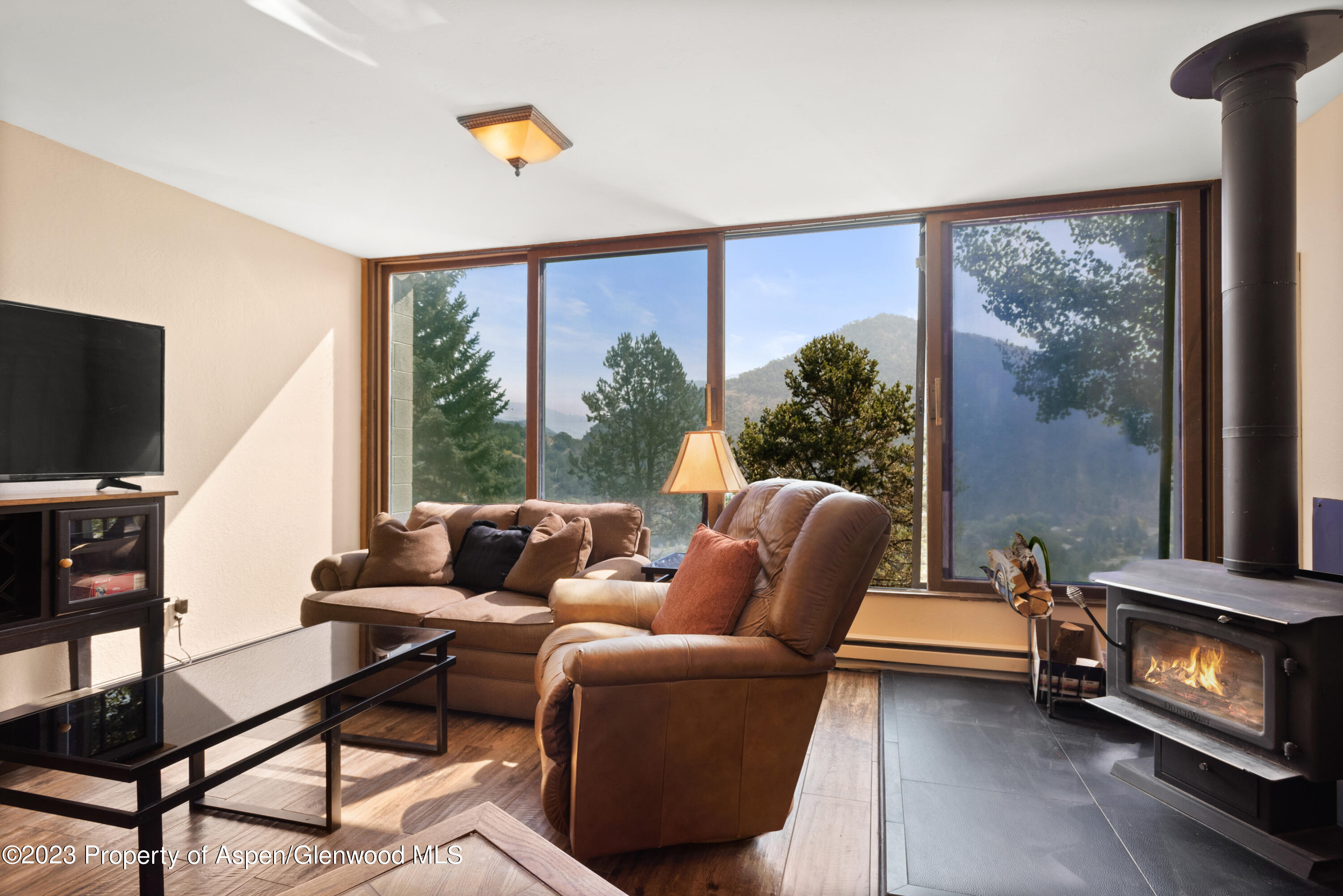 805 Pinon Drive, Unit 9 Basalt, CO 81621 - Photo 25 of 28 805PinionDrive9_HiRes_09072021007LIving