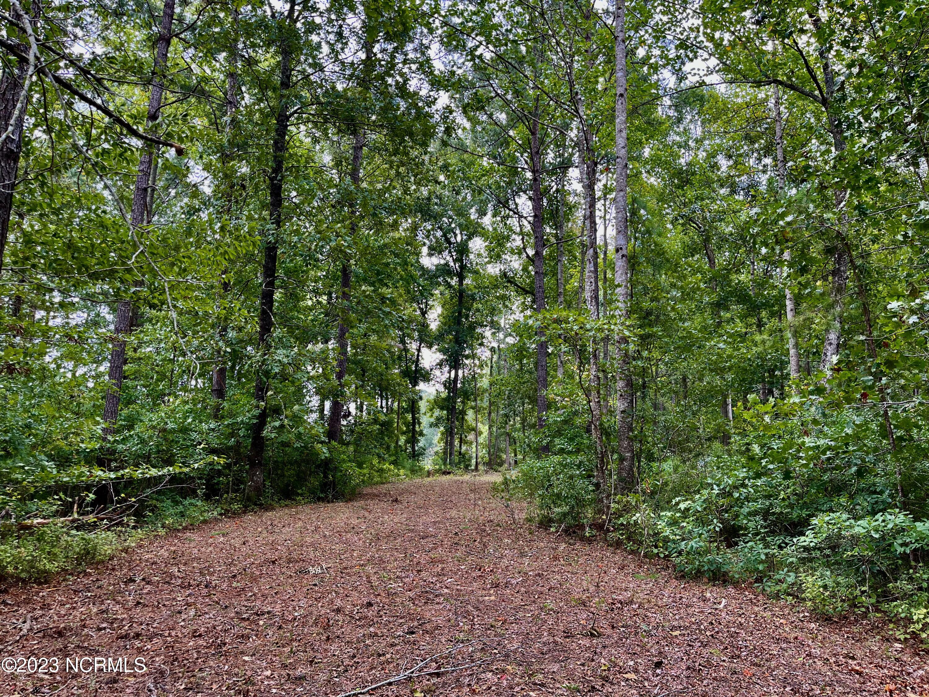 158 Fisher Turnpike Road Arapahoe, NC 28510 - Photo 12 of 27 Lot