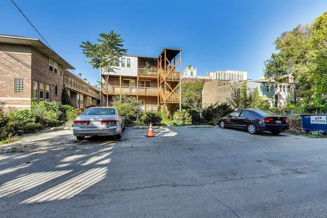 a view of a garden with plants