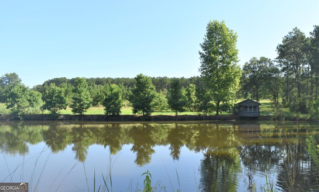 2810 Thompson Pond Road Tarrytown, GA 30470 - Photo 1 of 1 Main View