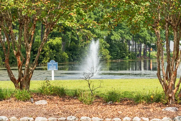 $379,000 | 350 Long Meadow Drive, Loris, SC 29569