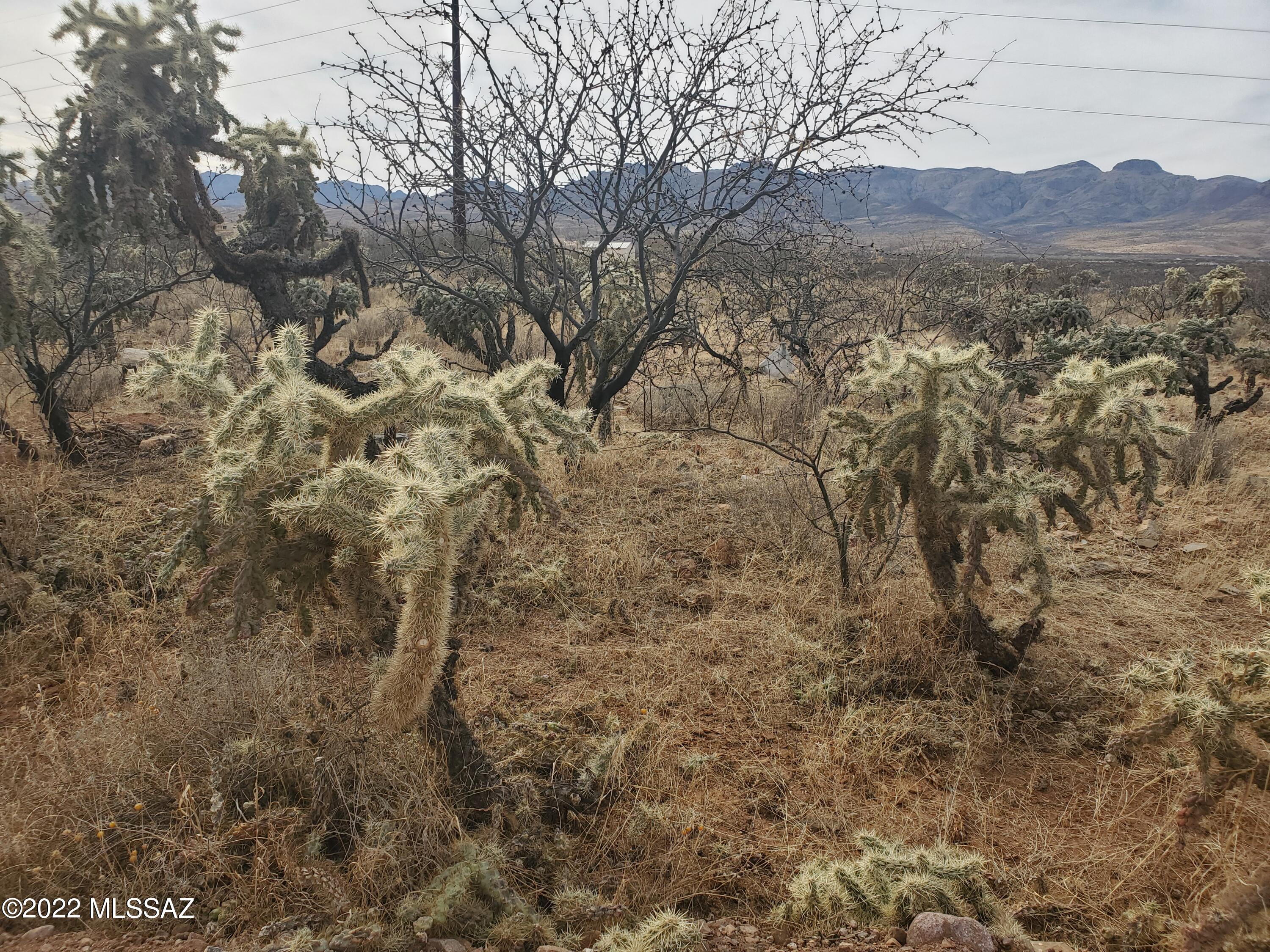 1730 Circulo Badajada, Unit 149 Rio Rico, AZ 85648 - Photo 1 of 8