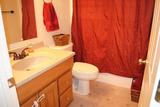 2264 Jordantown Road Thaxton, VA 24174 - Photo 11 of 20 1/2 Bath