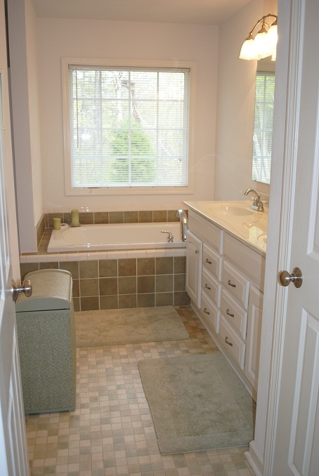 2264 Jordantown Road Thaxton, VA 24174 - Photo 16 of 20 Master Bath