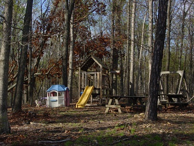 2264 Jordantown Road Thaxton, VA 24174 - Photo 18 of 20 Play Area