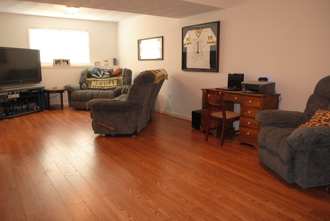 2264 Jordantown Road Thaxton, VA 24174 - Photo 5 of 20 Lower Fam Room