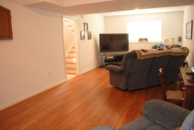 2264 Jordantown Road Thaxton, VA 24174 - Photo 6 of 20 Lower Fam Room