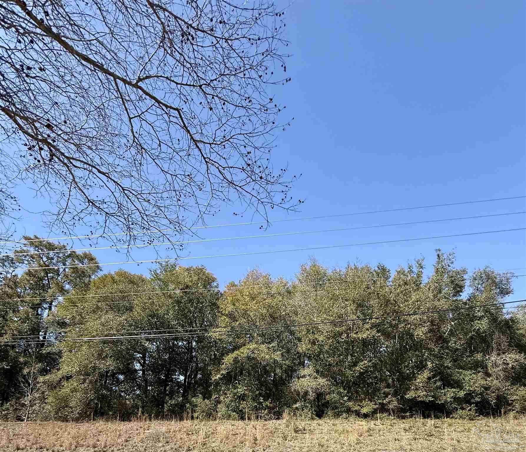 Lot 19 Dogwood Road Milton, FL 32570 - Photo 2 of 7