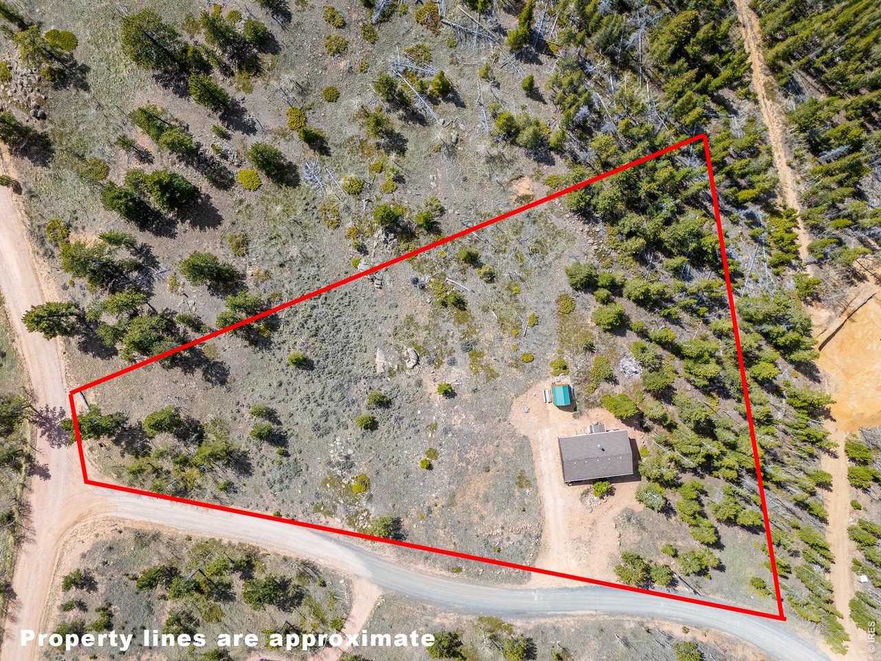 251 Huron Road Red Feather Lakes, CO 80545 - Photo 26 of 31